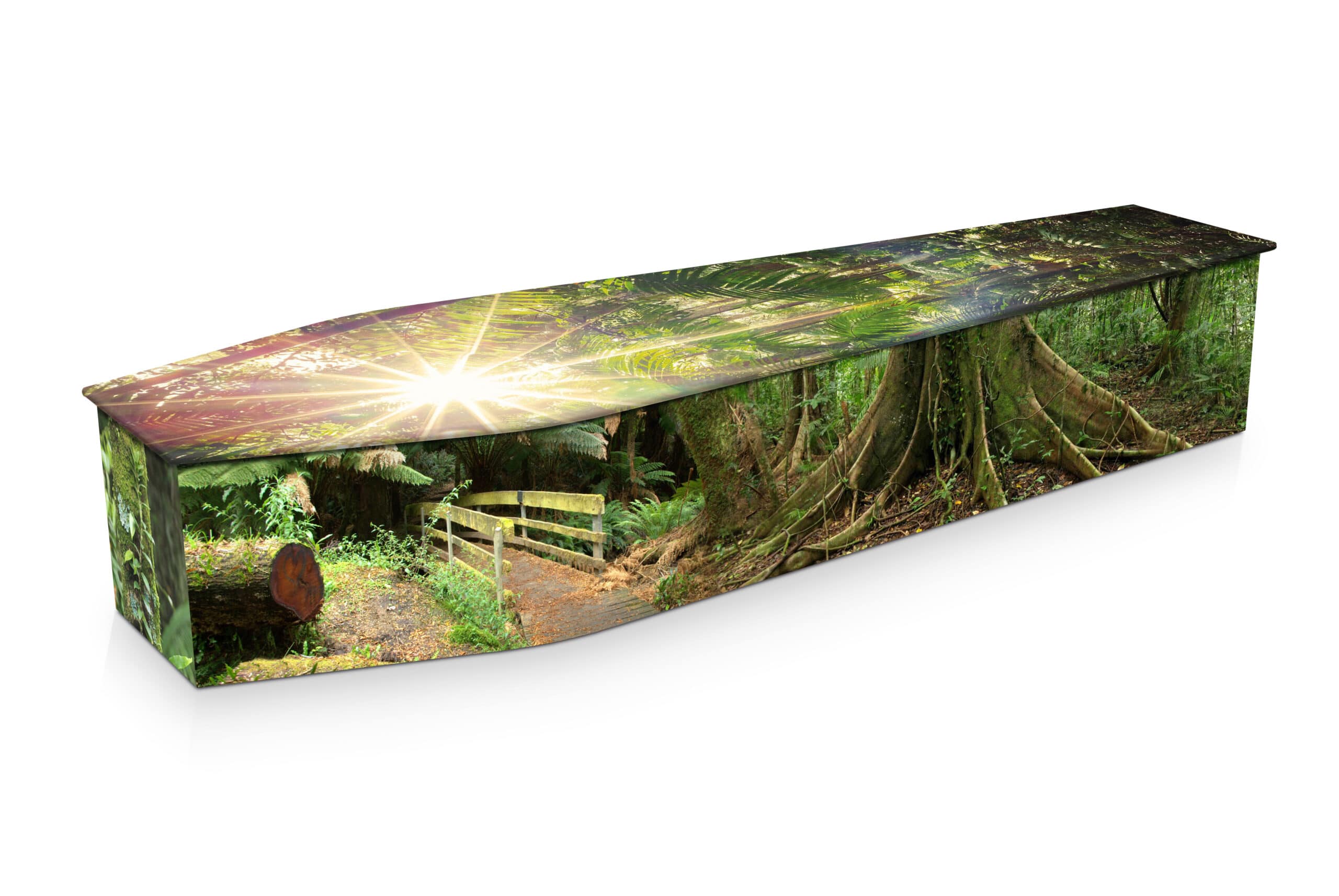 GREEN RAINFOREST COFFIN (SIDE VIEW) Expression Green Rainforest Coffins