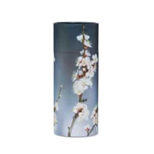 Scattering Urn