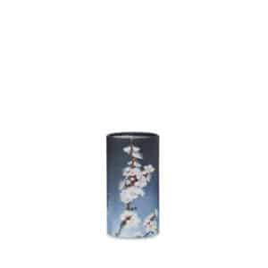 Scattering Urn